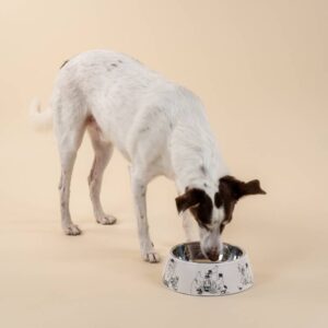 Miseczka Moomin for Pets 80-lecie (L) Muurla